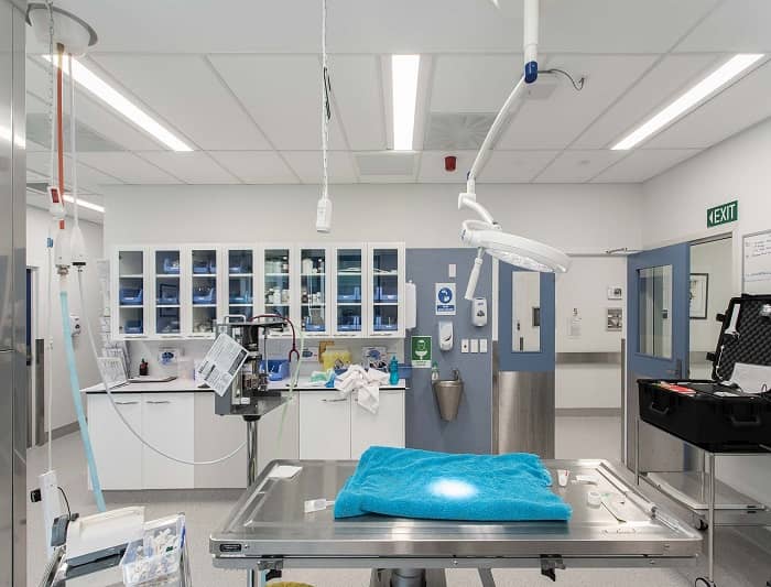 動(dòng)物學(xué)實(shí)驗(yàn)室中應(yīng)該配置什么樣的實(shí)驗(yàn)室家具裝備？