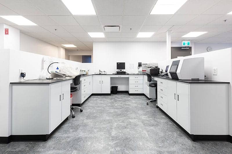 實驗室建設(shè)