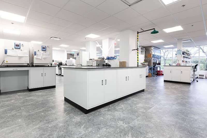 實驗室建設(shè)